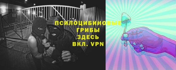 спайс Аркадак