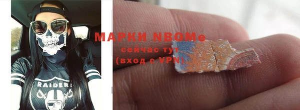 сатива Арсеньев