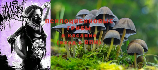 амф Армянск