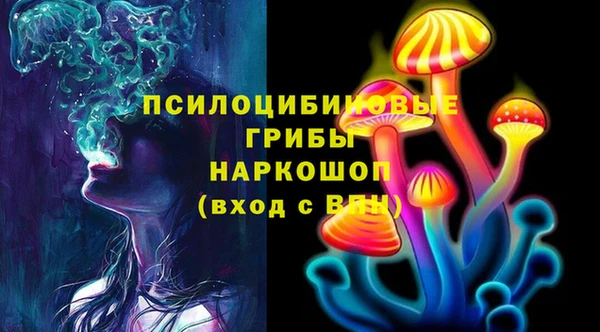 сатива Арсеньев