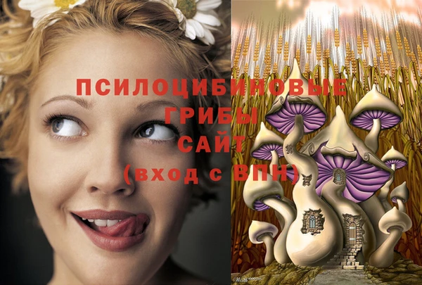 амф Армянск