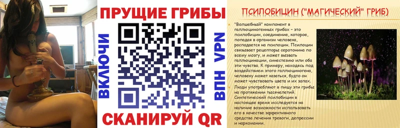 MEGA ONION  Лянтор  Псилоцибиновые грибы мицелий 